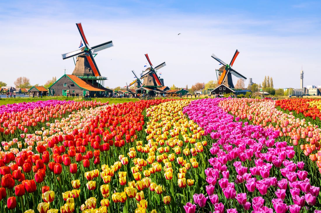 House in the netherlands